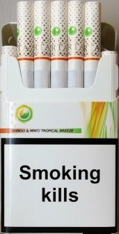URTA capsule (Юрта капсула манго з м'ятою) (duty free) 0