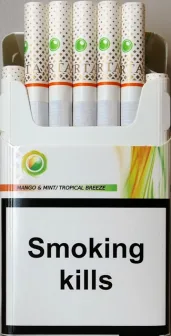 URTA capsule (Юрта капсула манго с мятой) (duty free) 0