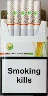 URTA capsule (Юрта капсула манго с мятой) (duty free) 0