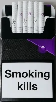 KENT NANO capsule (Кент слим со вкусом черники) (duty free) 0