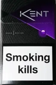 KENT NANO capsule (Кент слим со вкусом черники) (duty free)