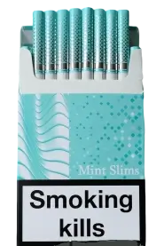 URTA mint slims wide (Юрта ментоловые слимовые широкие) 0