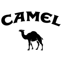 Camel