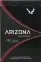 ARIZONA Black nano slims (Аризона черный нано слимс) (duty free) 2